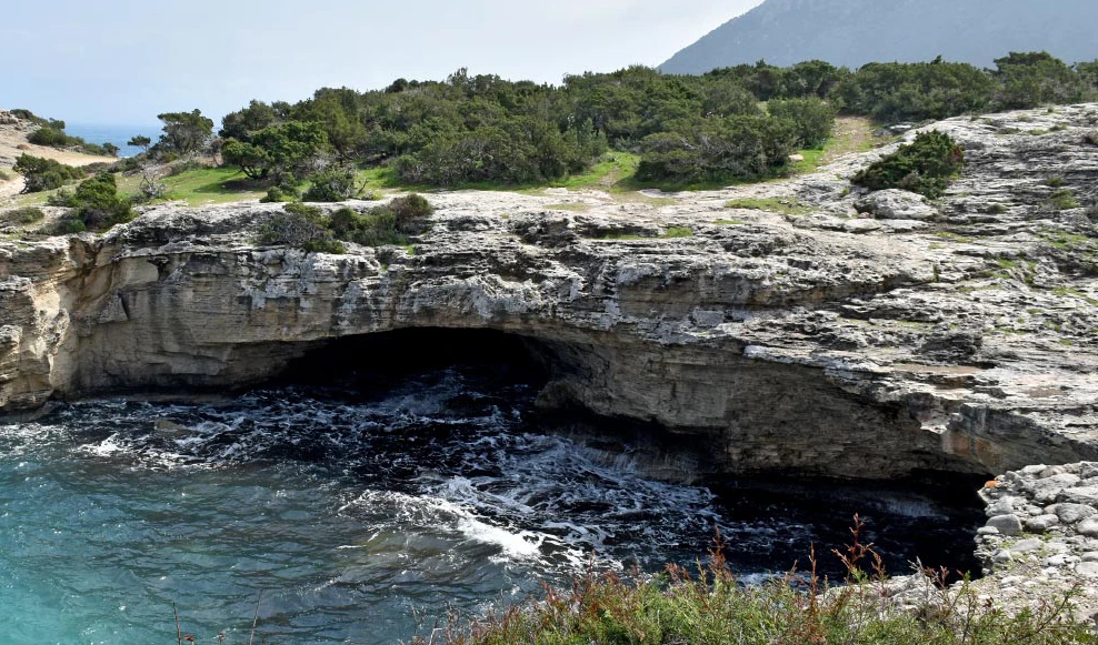 Акамас джип сафари