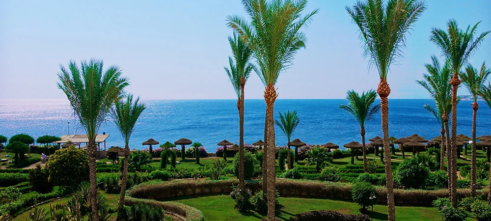 Красное море