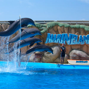 Дельфинарий Marineland