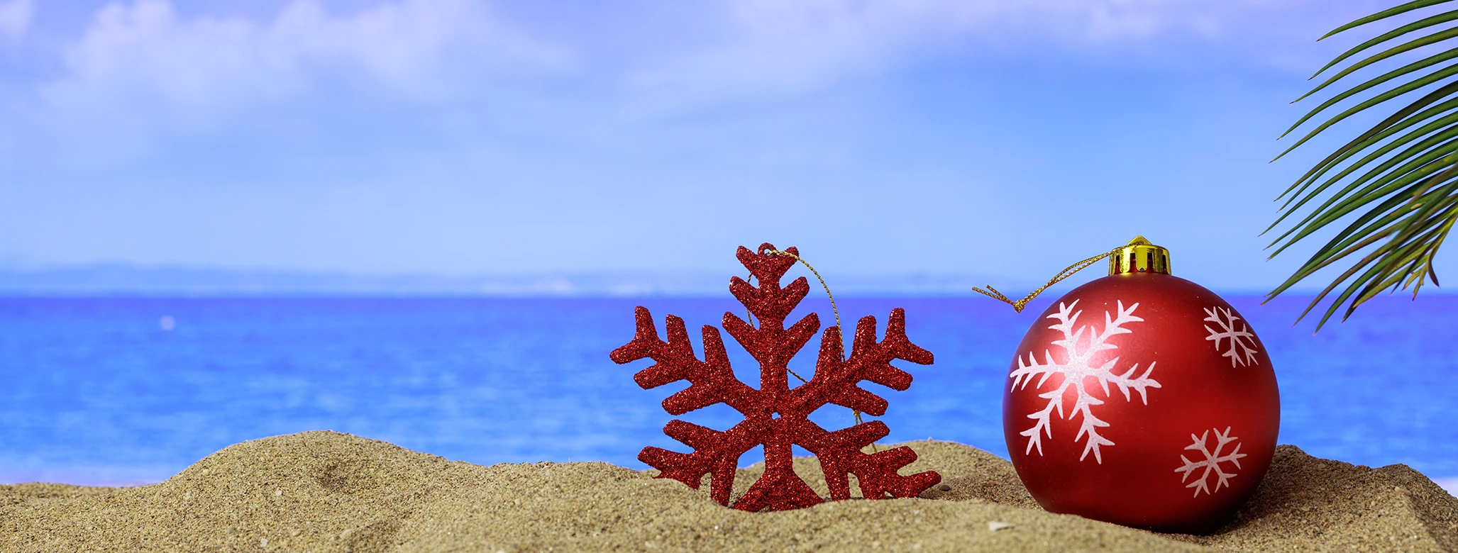 Новорічні тури до Єгипту від туроператора Coral Travel