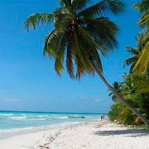 Доминикана